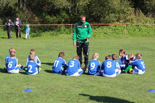 开云APP-中国篮球教练员团队协作能力培养与管理实践，篮球教练员在团队中扮演了哪些角色